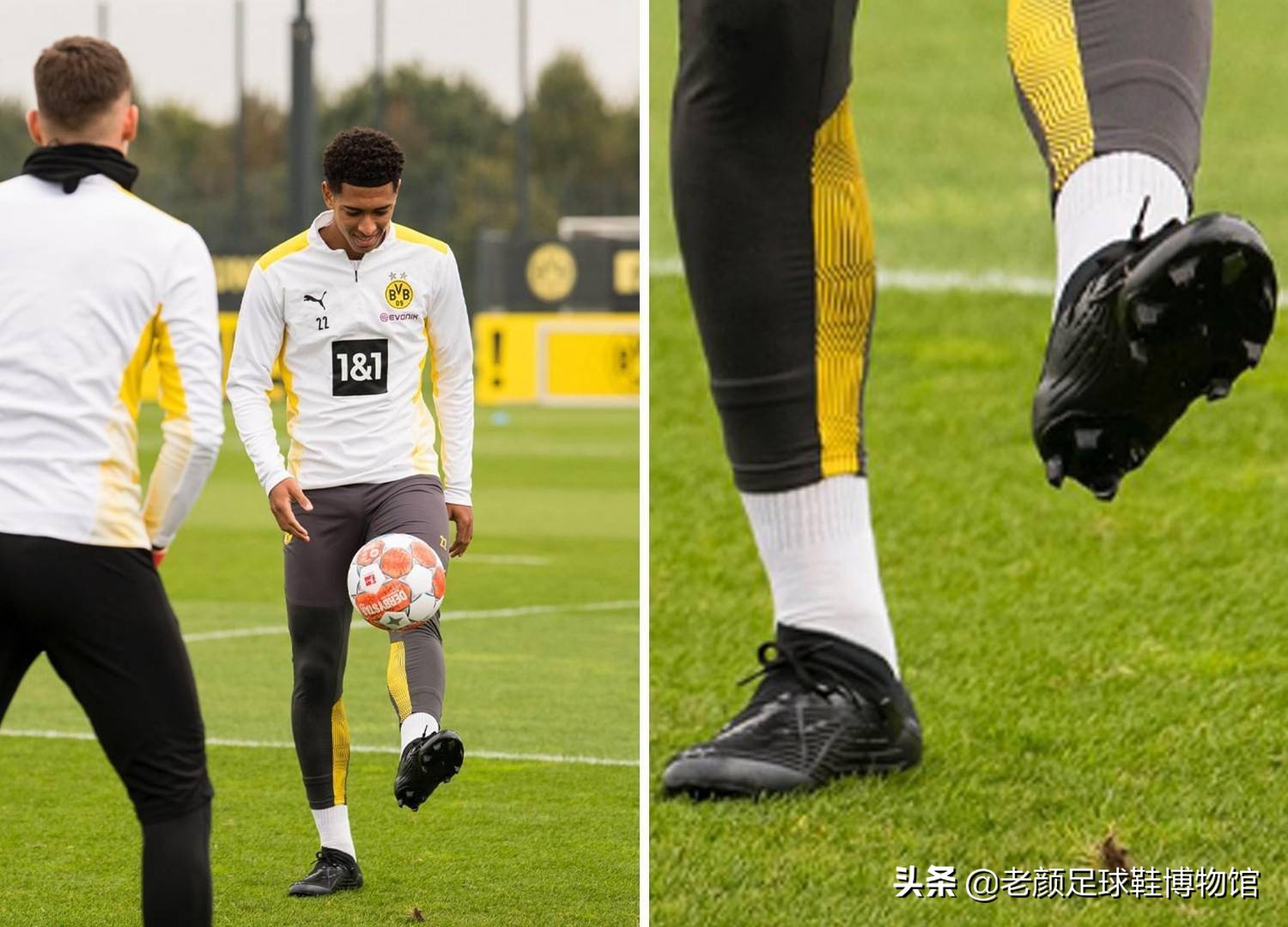 两队皆展示 两队皆展示